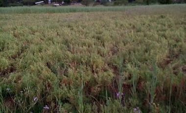 TERRENO CHUDAL / PORTEZUELO / REGIÓN DE ÑUBLE