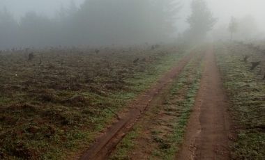 TERRENO CHUDAL / PORTEZUELO / REGIÓN DE ÑUBLE