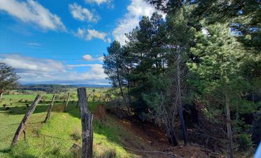 TERRENO CHUDAL / PORTEZUELO / REGIÓN DE ÑUBLE