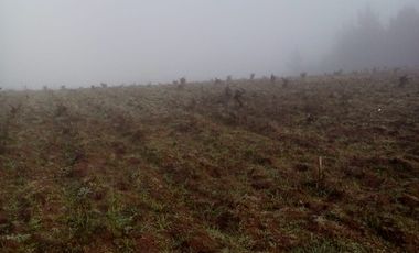 TERRENO CHUDAL / PORTEZUELO / REGIÓN DE ÑUBLE