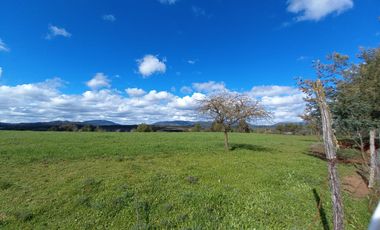 TERRENO CHUDAL / PORTEZUELO / REGIÓN DE ÑUBLE