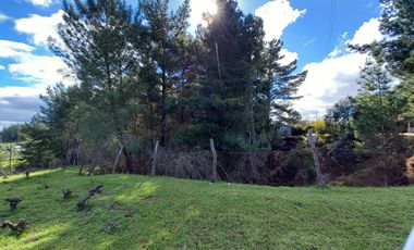 TERRENO CHUDAL / PORTEZUELO / REGIÓN DE ÑUBLE