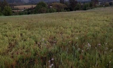 TERRENO CHUDAL / PORTEZUELO / REGIÓN DE ÑUBLE