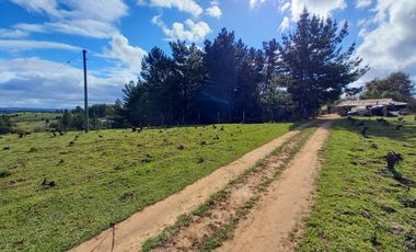 TERRENO CHUDAL / PORTEZUELO / REGIÓN DE ÑUBLE