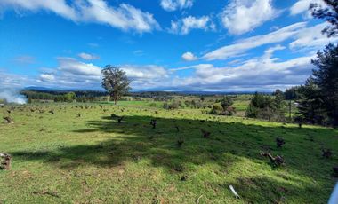 TERRENO CHUDAL / PORTEZUELO / REGIÓN DE ÑUBLE