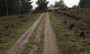 TERRENO CHUDAL / PORTEZUELO / REGIÓN DE ÑUBLE