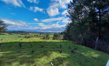 TERRENO CHUDAL / PORTEZUELO / REGIÓN DE ÑUBLE