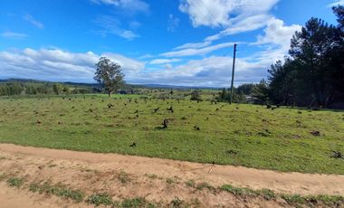 TERRENO CHUDAL / PORTEZUELO / REGIÓN DE ÑUBLE