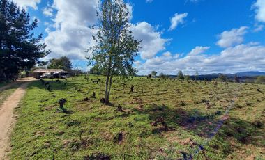 TERRENO CHUDAL / PORTEZUELO / REGIÓN DE ÑUBLE
