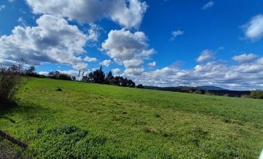 TERRENO CHUDAL / PORTEZUELO / REGIÓN DE ÑUBLE