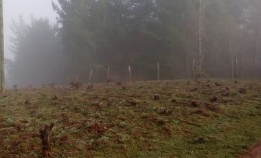 TERRENO CHUDAL / PORTEZUELO / REGIÓN DE ÑUBLE