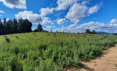 TERRENO CHUDAL / PORTEZUELO / REGIÓN DE ÑUBLE