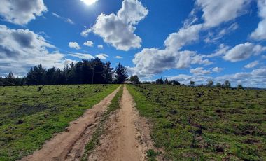 TERRENO CHUDAL / PORTEZUELO / REGIÓN DE ÑUBLE