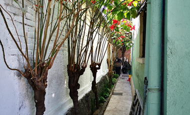 Propiedad VENTA COMO TERRENO USO DE SUELO H4 (e) Barrio San Francisco, Coyoacan