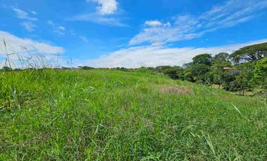 Lotes Campestres