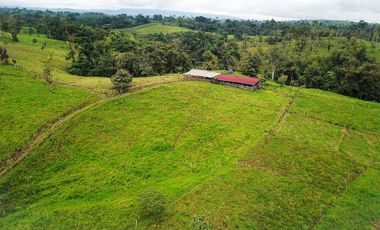 Vendo Hacienda de 37 Hectáreas en San Miguel de Los Bancos.