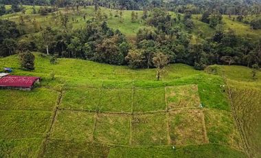 Vendo Hacienda de 37 Hectáreas en San Miguel de Los Bancos.