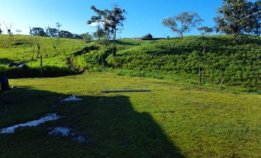 Vendo Hacienda de 37 Hectáreas en San Miguel de Los Bancos.