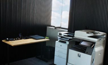 RENTA DE OFICINAS EJECUTIVAS, Plaza Portales
