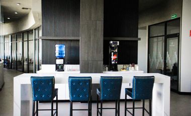 RENTA DE OFICINAS EJECUTIVAS, Plaza Portales