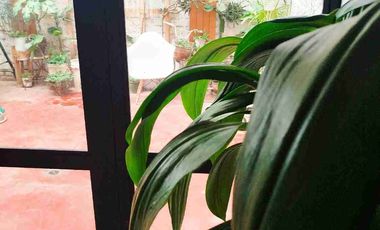 ALQUILER DE CASA AMOBLADA EN NUEVO CHIMBOTE