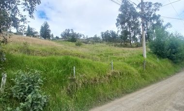 TERRENO EN VENTA VIA A TURI