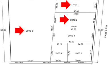 Venta terreno de 600 m2, en Xochitlán Todos Santos, Puebla