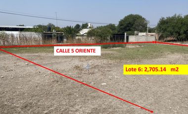 Venta terreno de 600 m2, en Xochitlán Todos Santos, Puebla