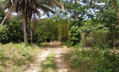 VENTA LOTES CON Y SIN CONSTRUCCIÓN VÍA MINCA SANTA MARTA