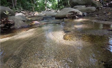 VENTA LOTES CON Y SIN CONSTRUCCIÓN VÍA MINCA SANTA MARTA