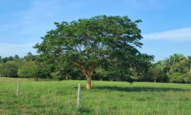 SE VENDE HERMOSA FINCA EN AGUAZUL CASANARE- SECTOR SAN JOSE DEL BUBUY