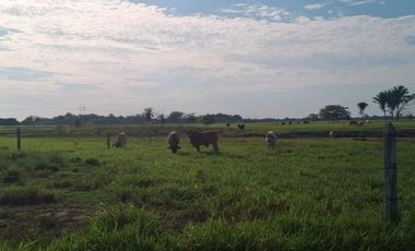 SE VENDE HERMOSA FINCA EN AGUAZUL CASANARE- SECTOR SAN JOSE DEL BUBUY