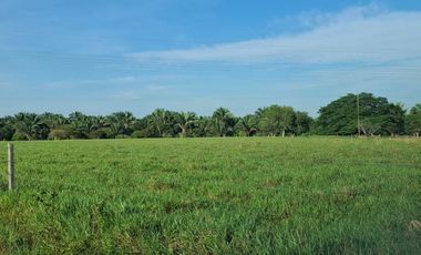 SE VENDE HERMOSA FINCA EN AGUAZUL CASANARE- SECTOR SAN JOSE DEL BUBUY
