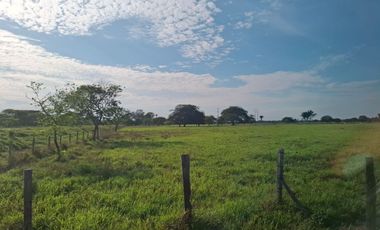 SE VENDE HERMOSA FINCA EN AGUAZUL CASANARE- SECTOR SAN JOSE DEL BUBUY