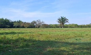 SE VENDE HERMOSA FINCA EN AGUAZUL CASANARE- SECTOR SAN JOSE DEL BUBUY