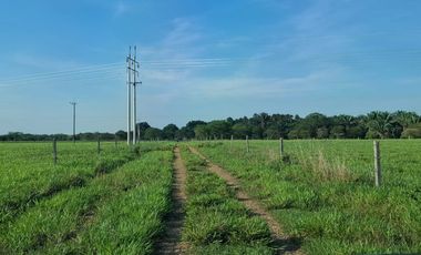 SE VENDE HERMOSA FINCA EN AGUAZUL CASANARE- SECTOR SAN JOSE DEL BUBUY
