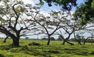 SE VENDE HERMOSA FINCA EN AGUAZUL CASANARE- SECTOR SAN JOSE DEL BUBUY