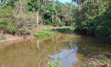 SE VENDE HERMOSA FINCA EN AGUAZUL CASANARE- SECTOR SAN JOSE DEL BUBUY