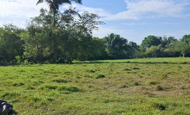 SE VENDE HERMOSA FINCA EN AGUAZUL CASANARE- SECTOR SAN JOSE DEL BUBUY