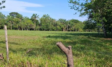 SE VENDE HERMOSA FINCA EN AGUAZUL CASANARE- SECTOR SAN JOSE DEL BUBUY