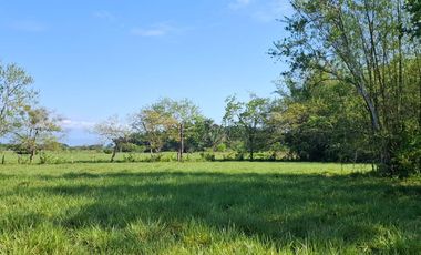 SE VENDE HERMOSA FINCA EN AGUAZUL CASANARE- SECTOR SAN JOSE DEL BUBUY
