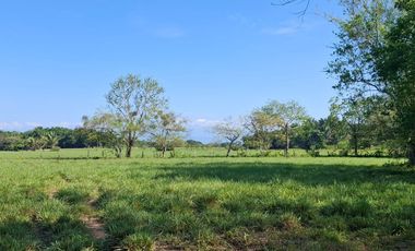 SE VENDE HERMOSA FINCA EN AGUAZUL CASANARE- SECTOR SAN JOSE DEL BUBUY
