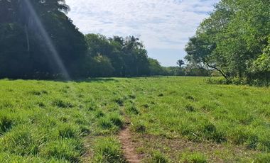 SE VENDE HERMOSA FINCA EN AGUAZUL CASANARE- SECTOR SAN JOSE DEL BUBUY