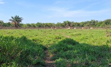 SE VENDE HERMOSA FINCA EN AGUAZUL CASANARE- SECTOR SAN JOSE DEL BUBUY