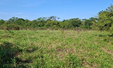 SE VENDE HERMOSA FINCA EN AGUAZUL CASANARE- SECTOR SAN JOSE DEL BUBUY