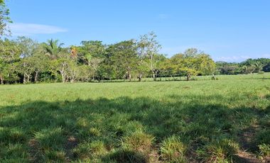 SE VENDE HERMOSA FINCA EN AGUAZUL CASANARE- SECTOR SAN JOSE DEL BUBUY
