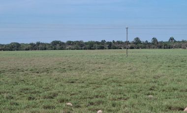 SE VENDE HERMOSA FINCA EN AGUAZUL CASANARE- SECTOR SAN JOSE DEL BUBUY