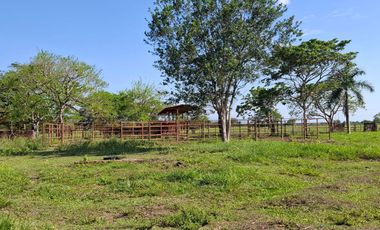 SE VENDE HERMOSA FINCA EN AGUAZUL CASANARE- SECTOR SAN JOSE DEL BUBUY