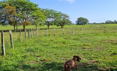 SE VENDE HERMOSA FINCA EN AGUAZUL CASANARE- SECTOR SAN JOSE DEL BUBUY