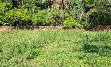 SE VENDE HERMOSA FINCA EN AGUAZUL CASANARE- SECTOR SAN JOSE DEL BUBUY
